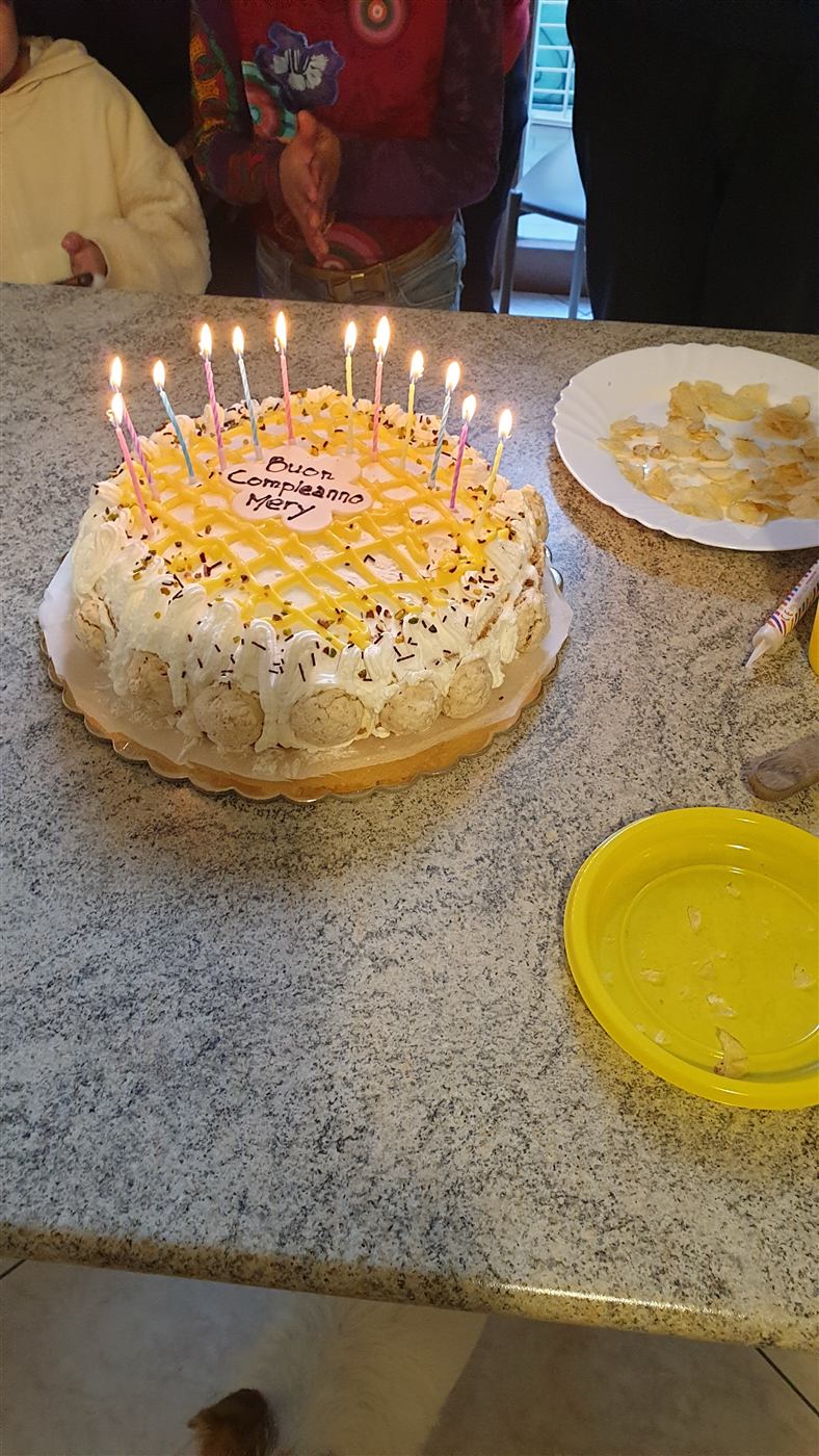 Torta artigianale Bealizia 9